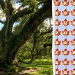 కేవలం 2% మేధావులు మాత్రమే 10 సెకన్లలో “చెట్టు” అనే పదాన్ని కనుగొంటారు: