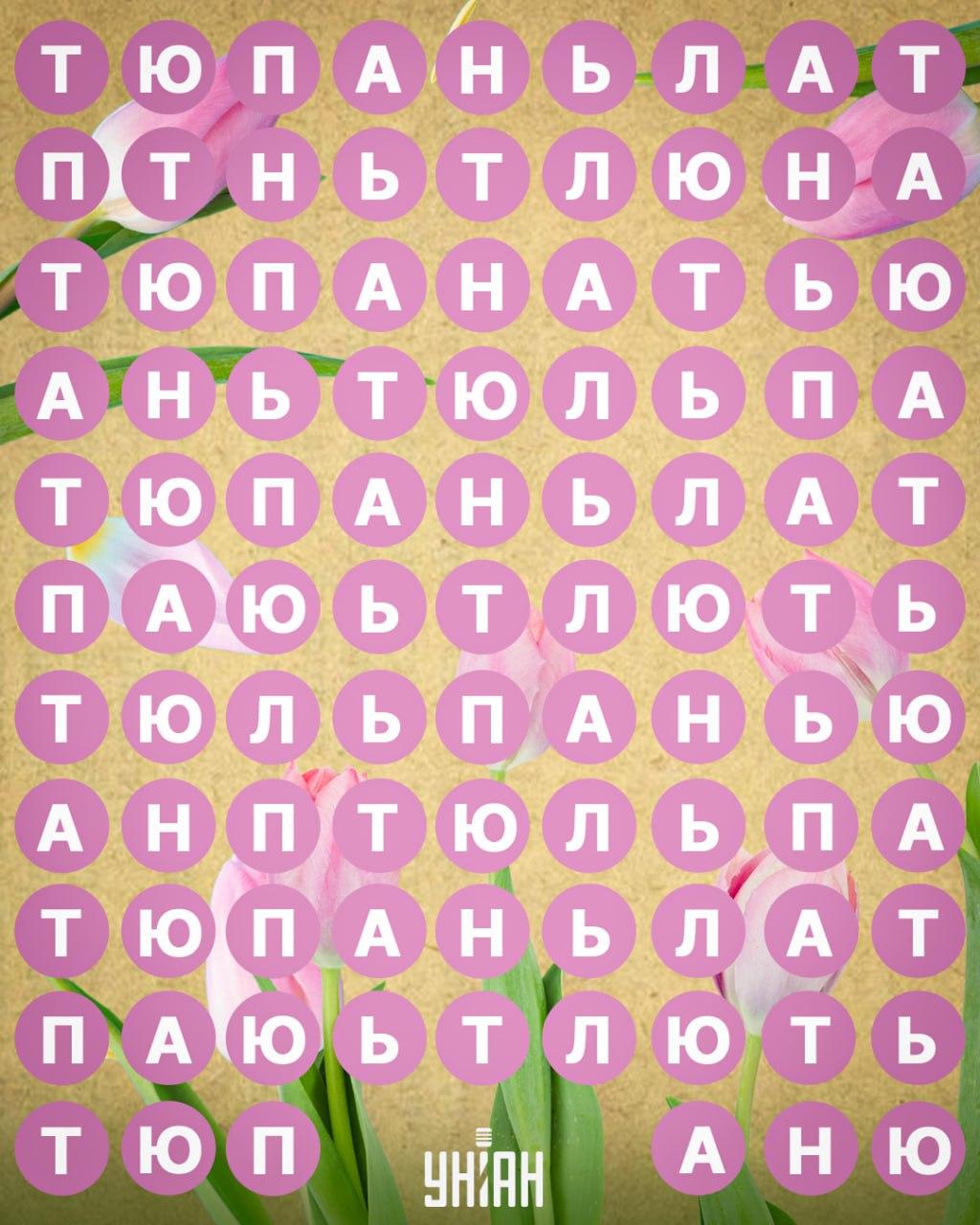 / కోల్లెజ్ Moje