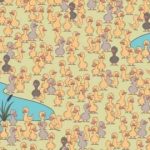 ఫన్నీ మరియు వనరుల కోసం ఒక పజిల్: మీరు 7 సెకన్లలో చికెన్ని కనుగొనాలి ఫన్నీ మరియు వనరుల కోసం ఒక పజిల్: మీరు 7 సెకన్లలో చికెన్ని