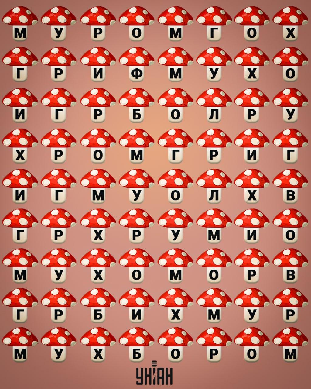 కోల్లెజ్ Moje