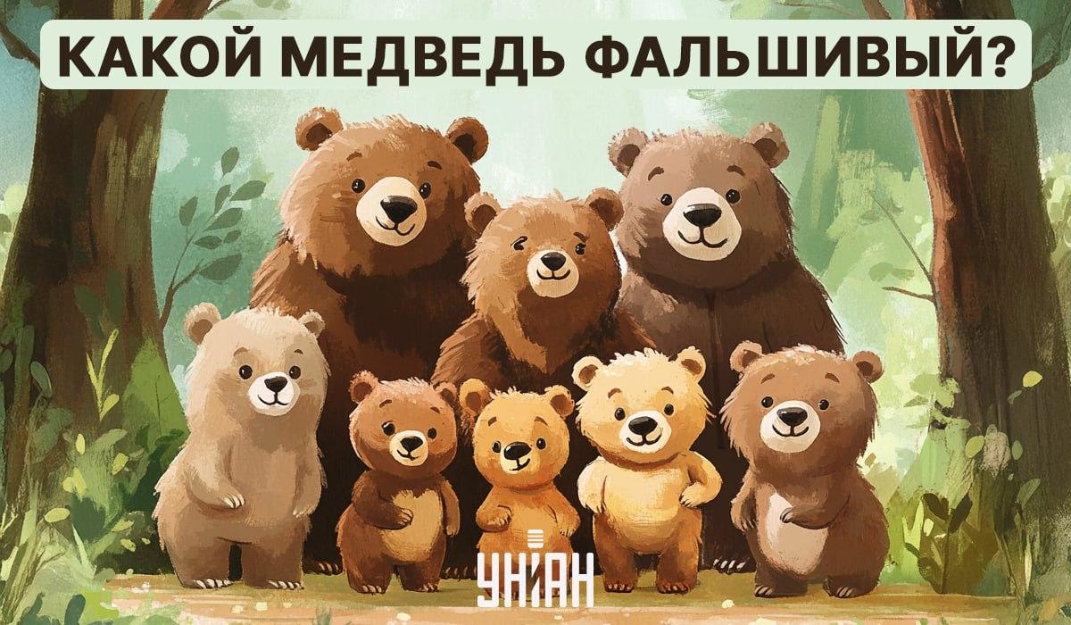 విజువల్ రిడిల్‌లో తప్పనిసరిగా కనుగొనాలి 