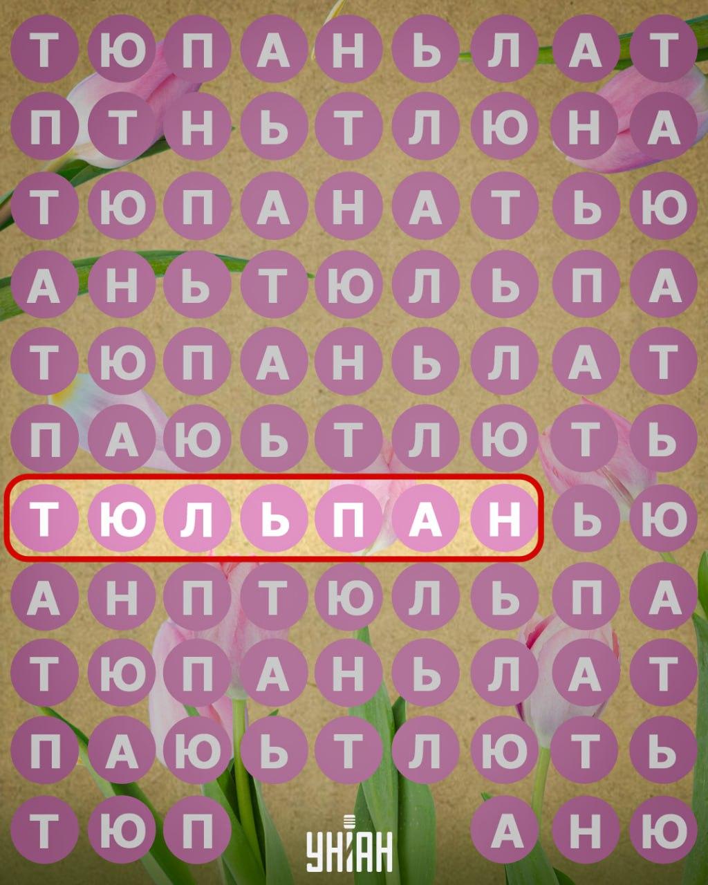 / కోల్లెజ్ Moje