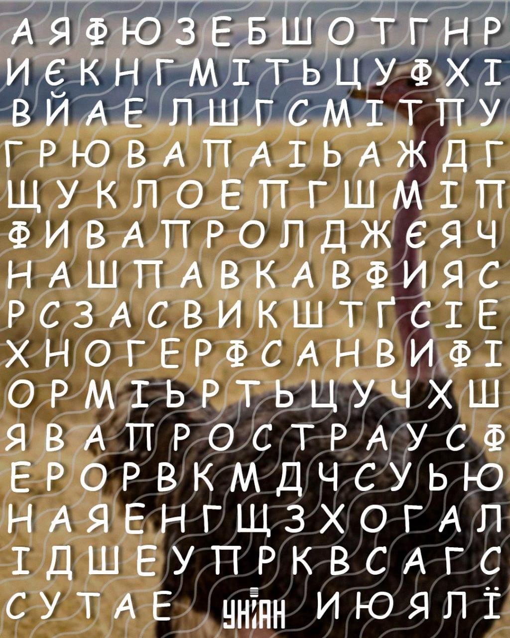 అధిక IQ ఉన్న వ్యక్తులు మాత్రమే 10 సెకన్లలో 'ఉష్ట్రపక్షి' అనే పదాన్ని కనుగొంటారు: ఒక గమ్మత్తైన పజిల్