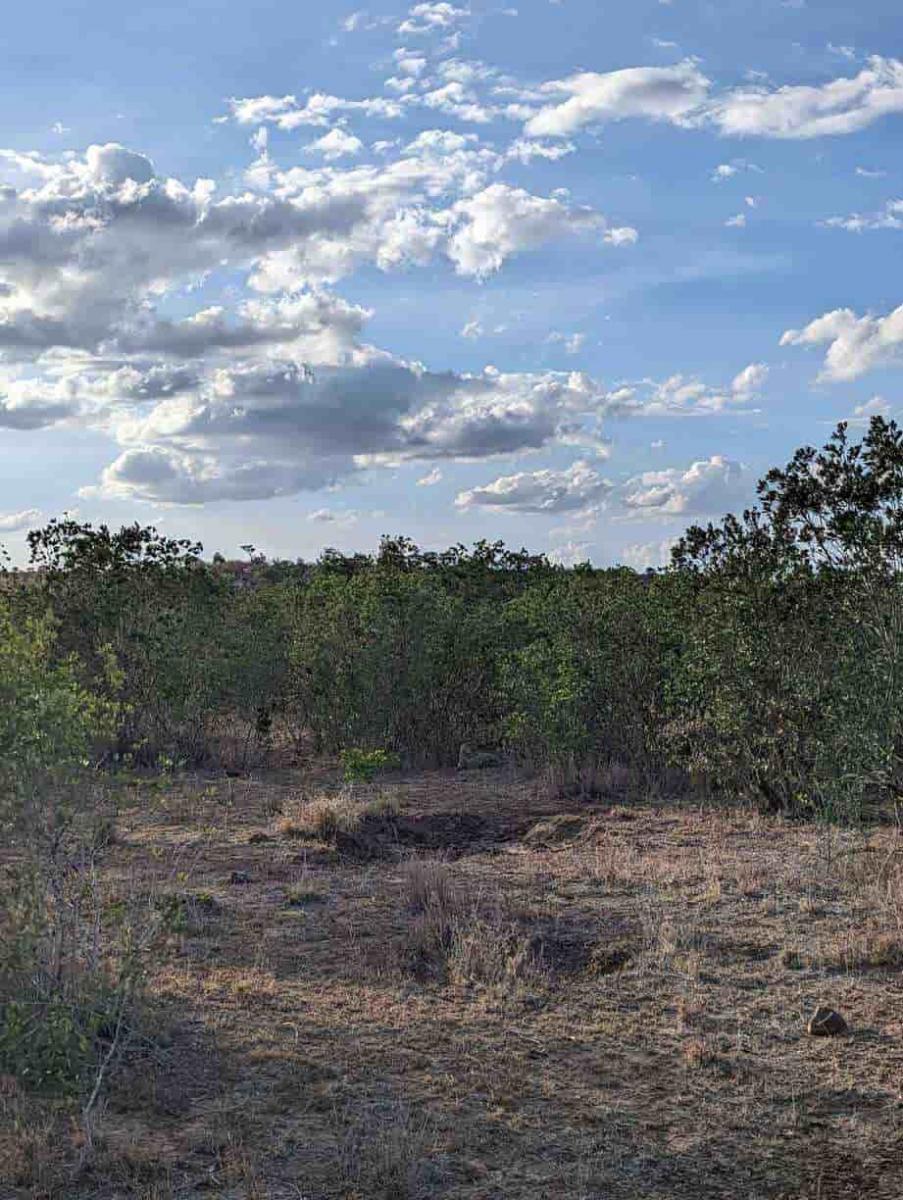 మిస్టరీ