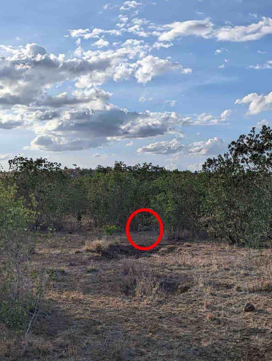 మిస్టరీ