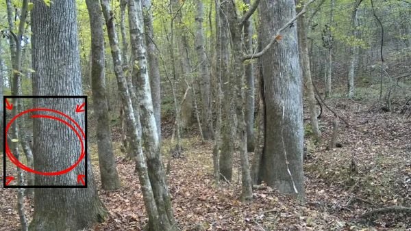 పరిష్కారం