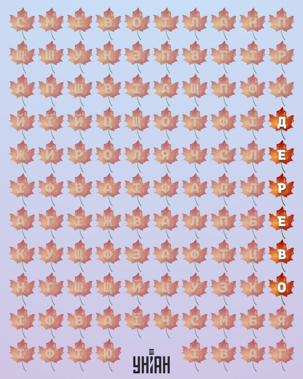 కోల్లెజ్ Moje