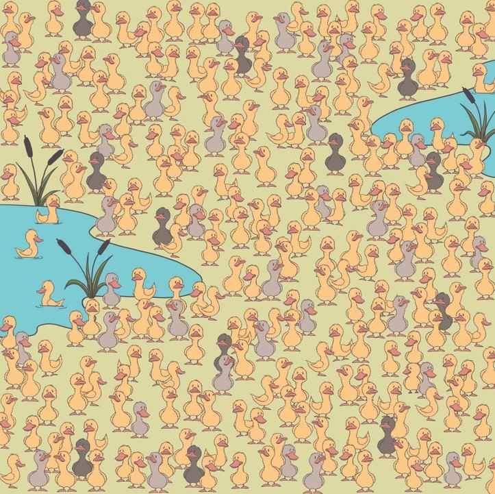 రహస్యం మరియు ప్రధాన విషయం