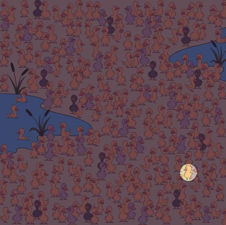 పరిష్కారం