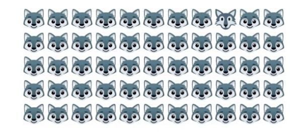 శ్రద్ధ పరీక్ష