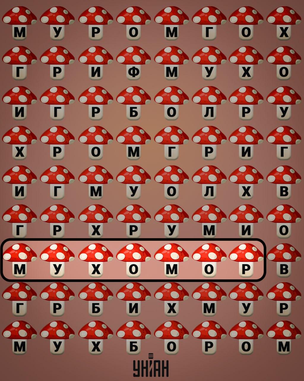 కోల్లెజ్ Moje