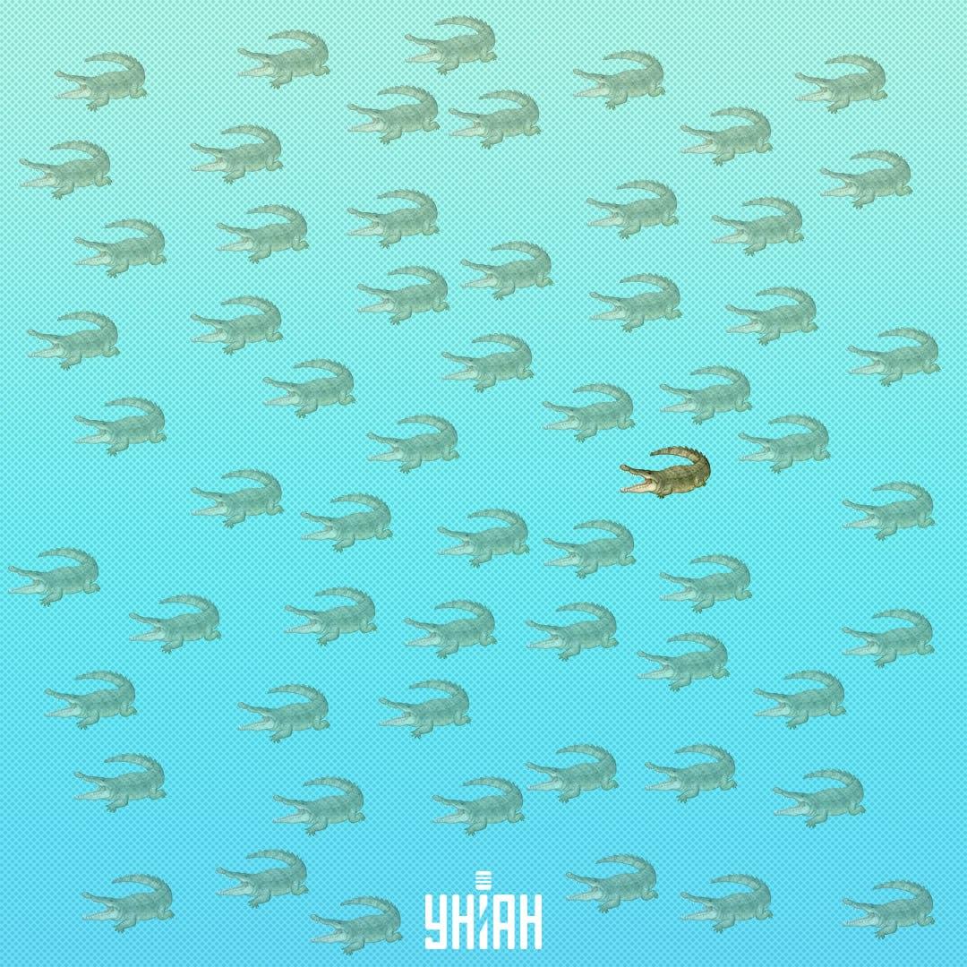 ఇది కుడి వైపున / కోల్లెజ్ Moje లో, సెంటర్‌కు దగ్గరగా వెతకడం అవసరం