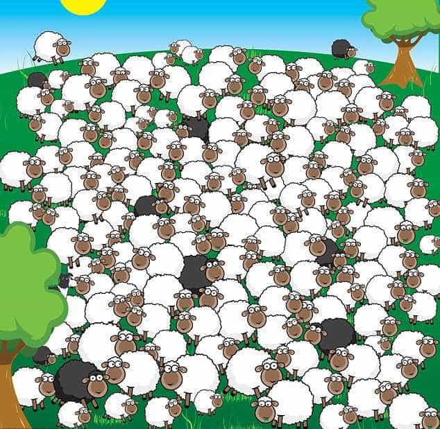 మిస్టరీ