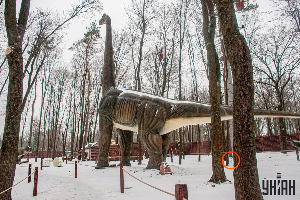 కుక్క చిత్రం / కోల్లెజ్ Moje యొక్క దిగువ ఎడమ మూలకు సమీపంలో ఉంది