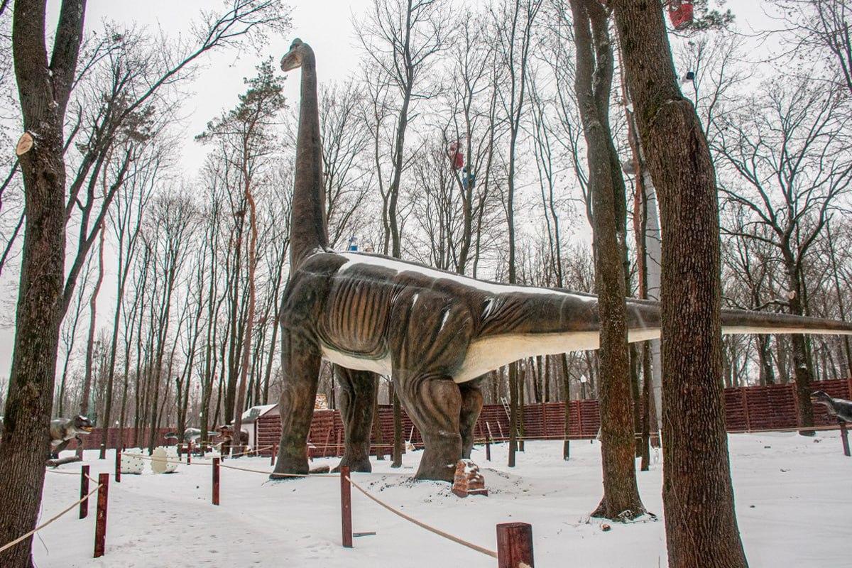 10 సెకన్లలో మంచు మధ్య కుక్కను కనుగొనండి / Moje కోల్లెజ్