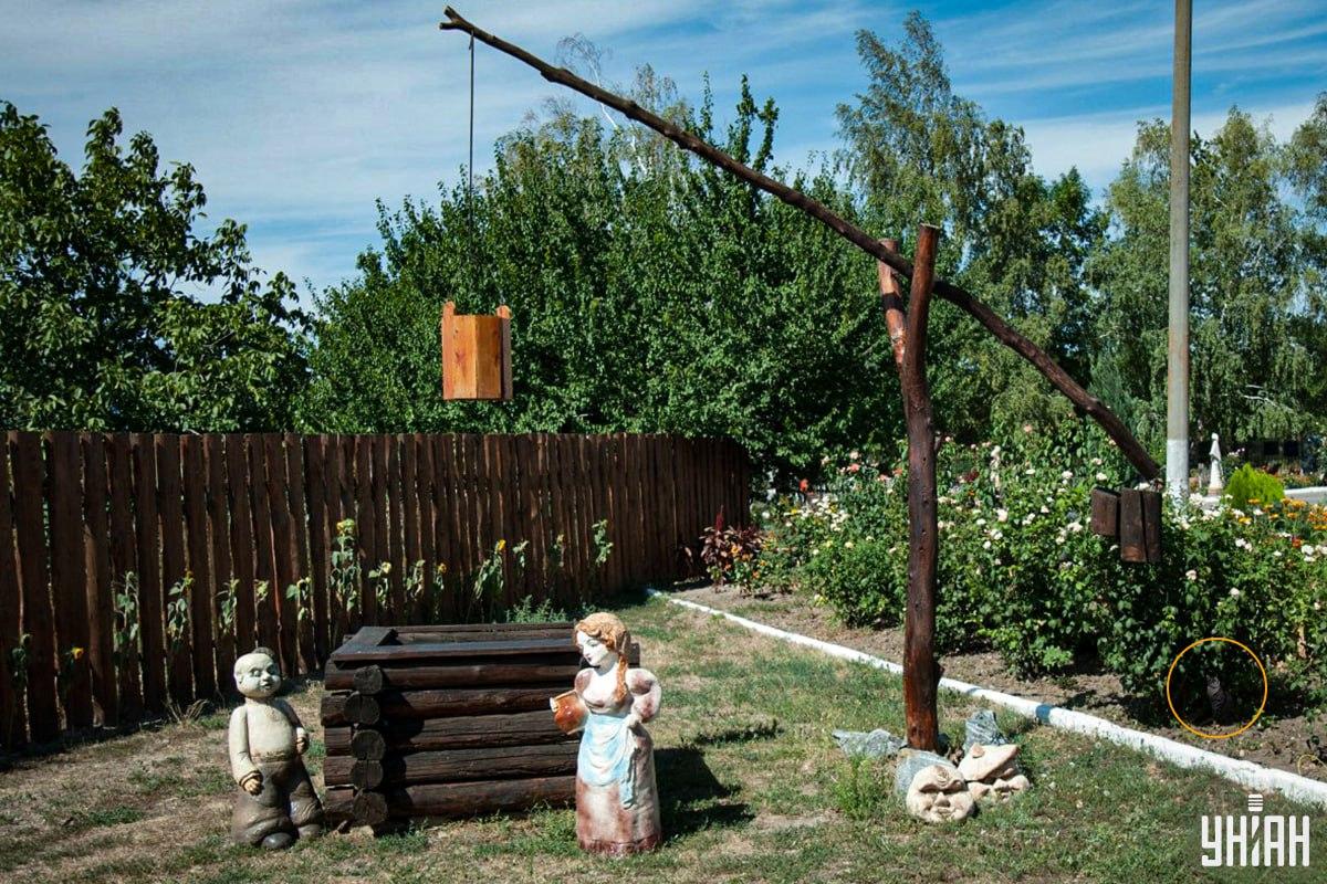 పిల్లి ఫ్లవర్‌బెడ్ / Moje కోల్లెజ్‌లో ఉంది