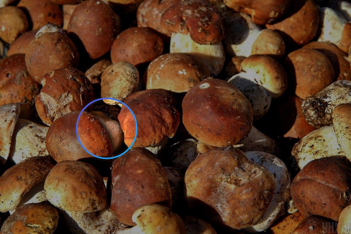 రాయి దాదాపు ఆప్టికల్ ఇల్యూషన్ / Moje కోల్లెజ్ మధ్యలో ఉంది