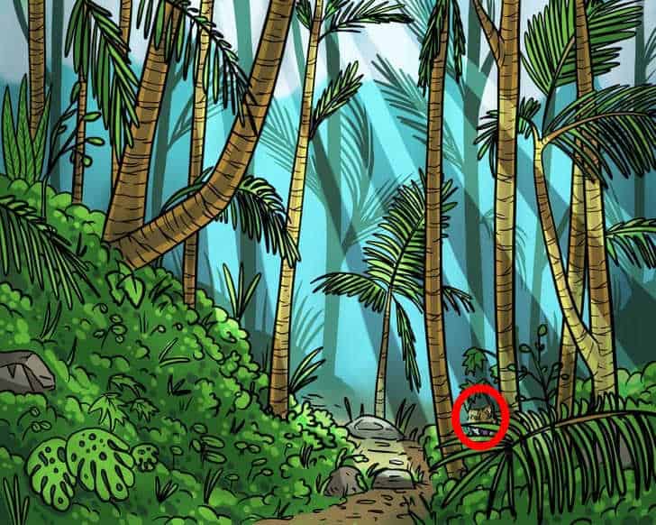 ప్రత్యేకమైన వ్యక్తుల కోసం ఆప్టికల్ భ్రమ: మీరు 9 సెకన్లలో అడవిలో పులిని కనుగొనాలి