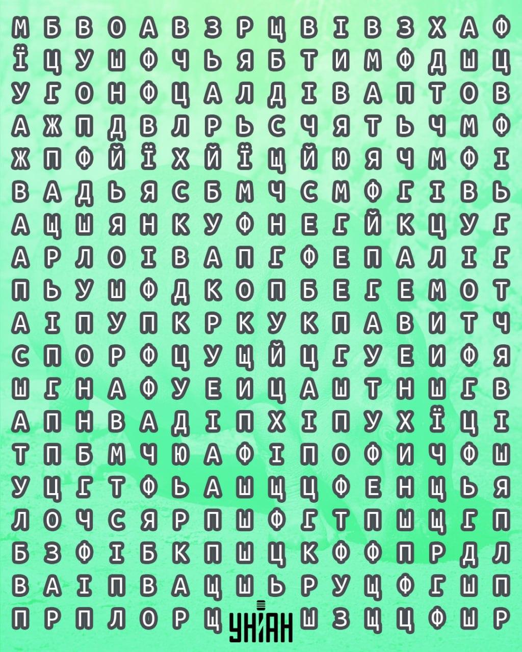 కోల్లెజ్ Moje