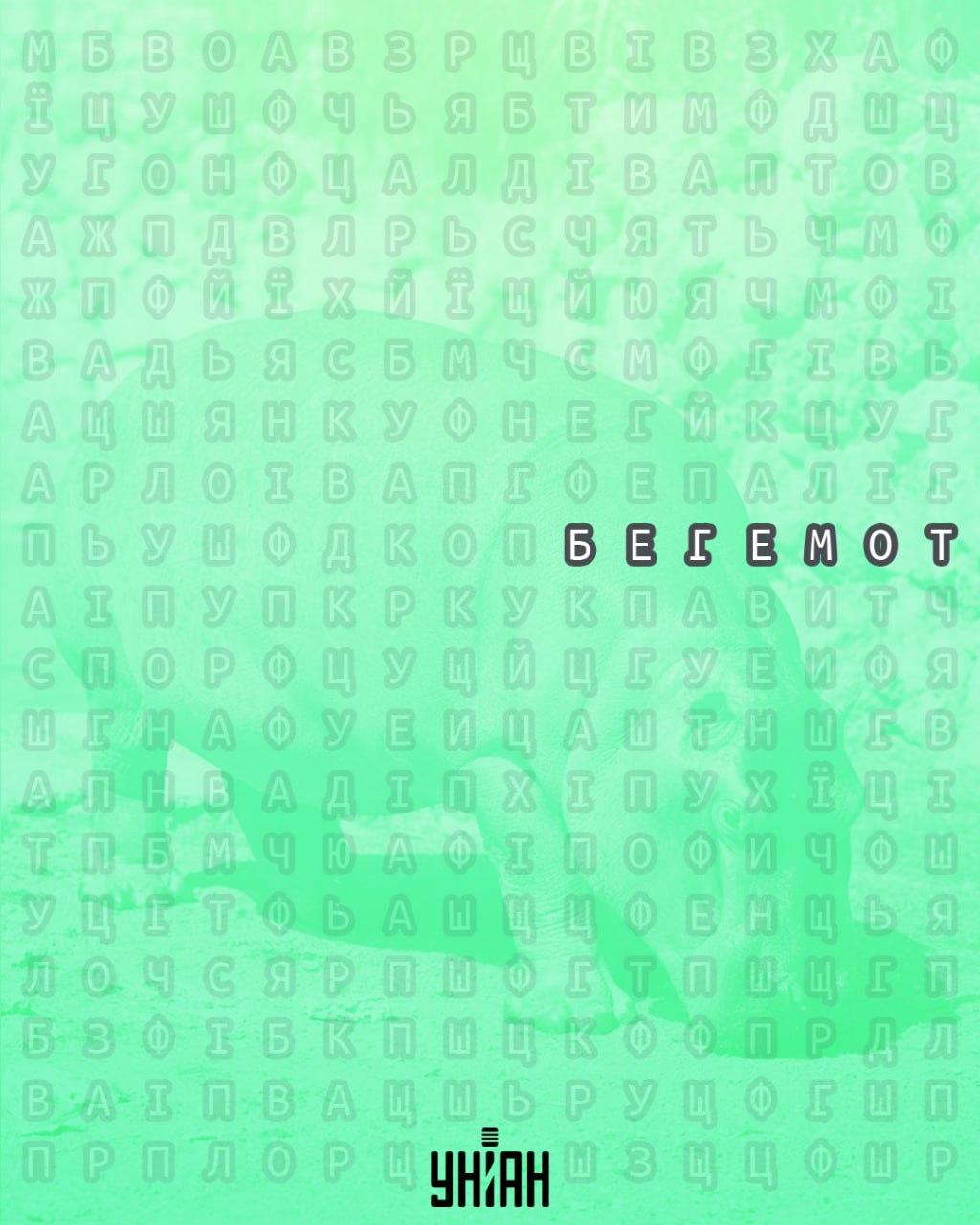 కోల్లెజ్ Moje