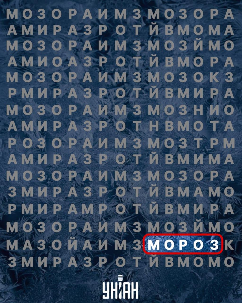 కోల్లెజ్ Moje