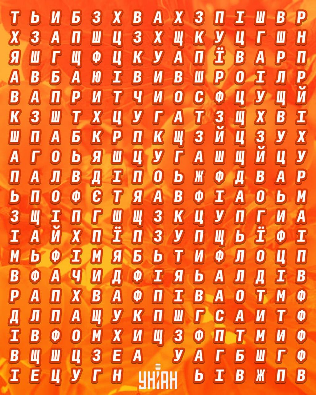 కోల్లెజ్ Moje