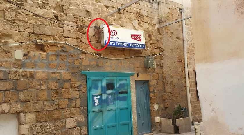 ఆప్టికల్ భ్రమ