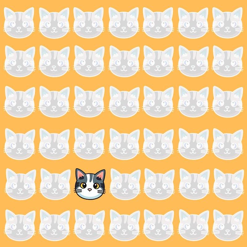 ఈ ఆప్టికల్ భ్రమ గొప్ప IQ / ఇమేజ్ Moje ఉన్న వ్యక్తులకు మాత్రమే సాధ్యమవుతుంది