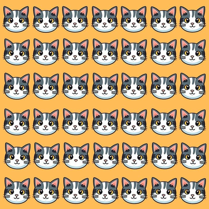 ఈ ఆప్టికల్ భ్రమ గొప్ప IQ / ఇమేజ్ Moje ఉన్న వ్యక్తులకు మాత్రమే సాధ్యమవుతుంది