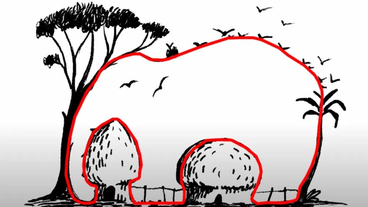 ఆప్టికల్ భ్రమ పరిష్కారం