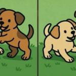 IQ పరీక్ష: 51 సెకన్లలో రెండు కుక్కపిల్లల చిత్రాలలో 3 తేడాలను కనుగొనండి